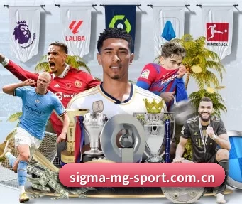 sigma-mg-sport.com.cn APP